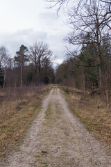 country road in autumn