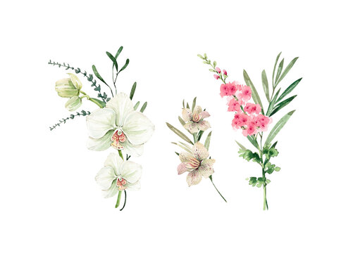 watercolor set of delicate bouquets of flowers on a white background, illustration hand painted close up
