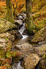Naklejka na ściany i meble tranquil and peaceful autumn streams and waterfalls in Lake District in Cumbria, North England.