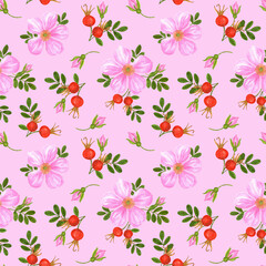 Rosehip seamless pattern