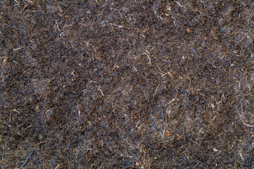 Fertile soil texture background. Gardening or planting concept with copy space. Natural pattern seen from above, top view. Agriculture, ecology layout