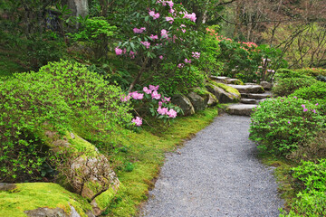 USA, Washington State, Seattle. Japanese Garden scenic at Washington Park Arboretum.