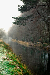Foggy Irish Canal in Winter