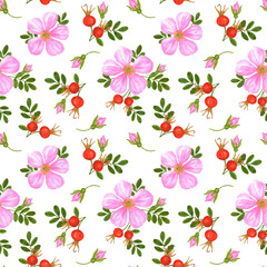 Obraz premium Rosehip seamless pattern on white background