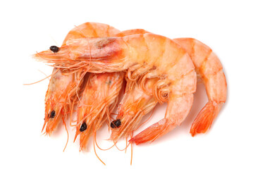 fresh cooked shrimps