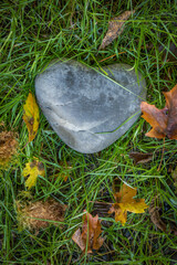 USA, Washington State, Olympic National Park. Heart-shaped rock in grass.