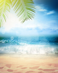 Fototapeta na wymiar Palm branch on the sandy beach. Summer time.