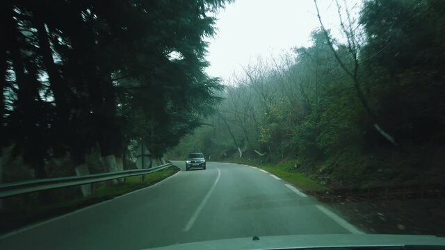 Driving in forest road acrossing Cedrus trees and beautiful nature , in ATLAS mountains, asphalt road ,road to chrea national park - algeria