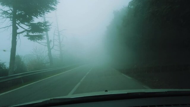 Driving in forest road acrossing Cedrus trees and beautiful nature , in ATLAS mountains, asphalt road and foggy weather , road to chrea national park - algeria