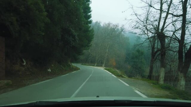 Driving in forest road acrossing Cedrus trees and beautiful nature , in ATLAS mountains, asphalt road , road to chrea national park - algeria