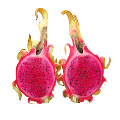 dragon fruit on white background