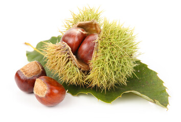 chestnuts isolated on white background