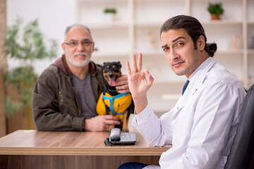 Young male doctor vet examining dog in the clinic