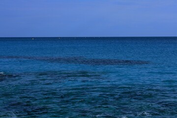 sea backdrop