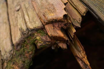 Close up surface of old wooden boat, of old shipyard side.