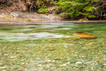 Majestic mountain river with mountain background in Vancouver, Canada.