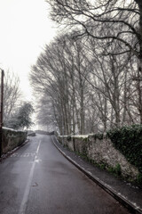 Picturesque Snowy Lane with Ancient Irish Stonework Walls and bare forest