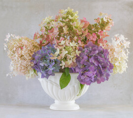 USA, Washington State, Seabeck. Hydrangea flower arrangement in vase.
