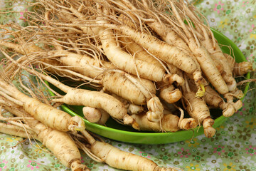  korean wild ginseng  