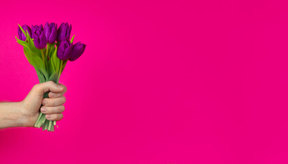 man's hand holds a bouquet of purple tulips. Greeting card for Mother's or Valentine's Day. Copy space for text
