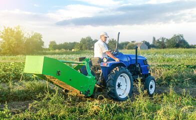 Obraz premium A adult caucasian farmer driver on a farm tractor drives to the field to harvest potatoes. Agro industrial technologies. Growing food cultivation and agribusiness. Harvesting campaign. Farm work.