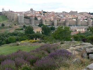 View from outside the medieval city walls of Avila, Spain