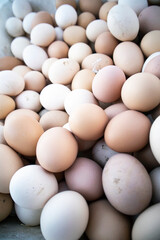 Many fresh whiteand brown eggs 