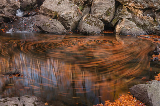 Motion Of Leaves In Water