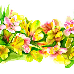 Seamless pattern Alstroemeria watercolor drawn