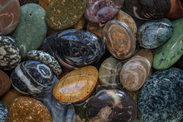 USA, Washington State, Seabeck. Close-up of wet beach stones.