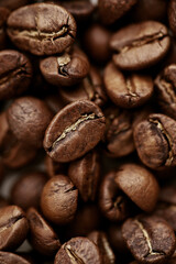 Rich brown coffee beans macro