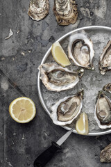 Raw open oysters on metal plate with ice and lemon