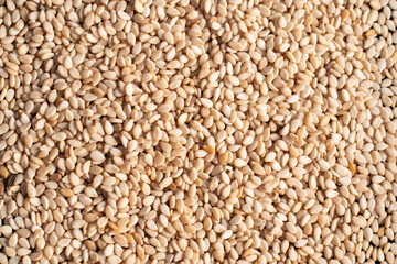 sesame seeds texture background