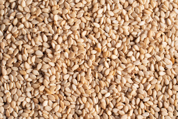 sesame seeds texture background