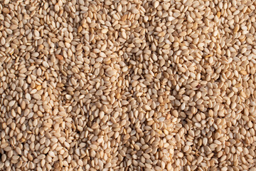 sesame seeds texture background