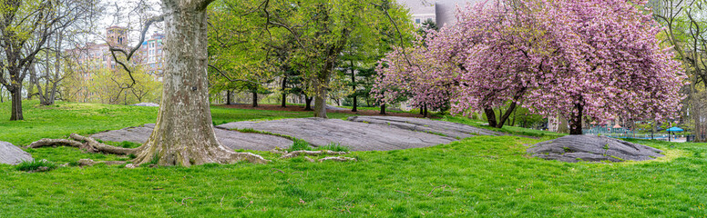Central Park in spring