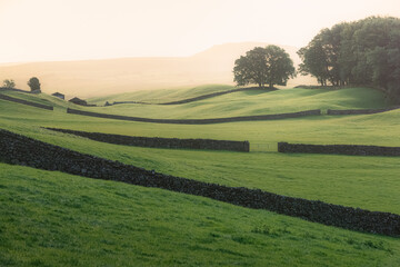 Fototapeta na wymiar Golden misty light on old stone walls and rolling hills of the rural English countryside pastoral landscape in Swaledale of the Yorkshire Dales National Park.