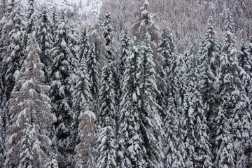 Paisaje de montaña en estacion de invierrno. Con mucha nieve