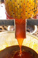 red palm oil squeezed using a manual spindle press