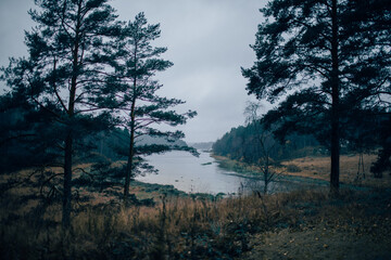 sunrise over the lake
