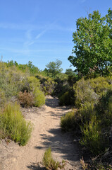 Red and white rocks in the south of France at the site of a former quarry - Colorado de Rustrel, France