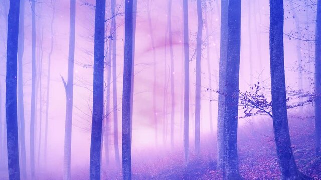 Magical purple forest augumented reality animated background with falling particles.