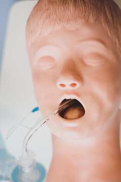 A medical manikin at a training centre for medical students and doctors to practice endotracheal intubation - with laryngoscopes and endotracheal tubes.