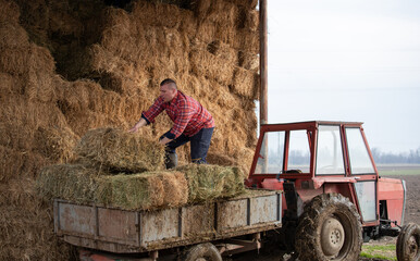 Farmer working with bales on farm