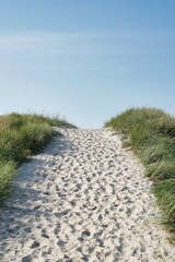 Obraz premium marram grass on dune with blue sky in background