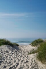 Fototapeta na wymiar way to beach marram grass on dune with blue sky and ocean in background