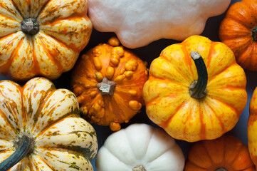 different bright and interesting pumpkins, background