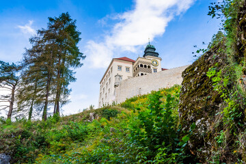 Limestone cliff Pieskowa Skala near Krakow, Poland, with isolated rock 