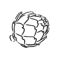 vector set of engraving illustration green vegetables artichoke on white background