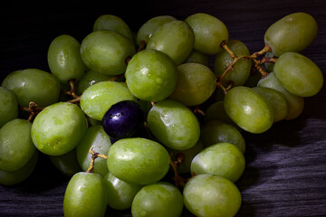 Closeup of a bunch of green grapes and just one black grape